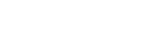 Placewyn Logo